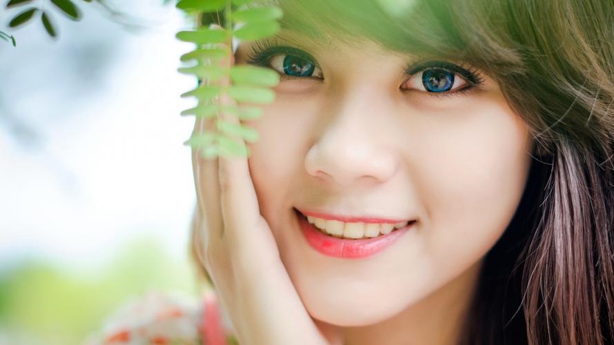 安徽省5年来新增94家华侨国际文化交流基地